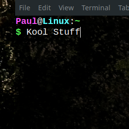 Commonly Used Terminal Commands