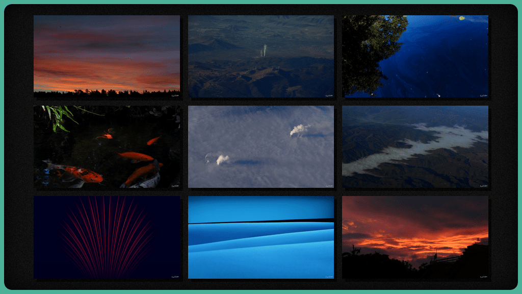 Wallpapers by: ForkTheWire